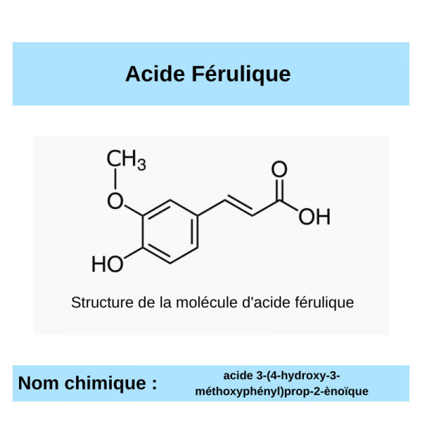 F comme Ferrulique