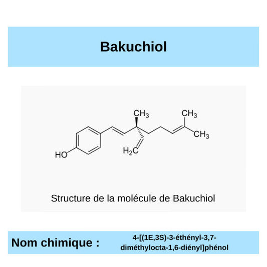 B comme Bakuchiol