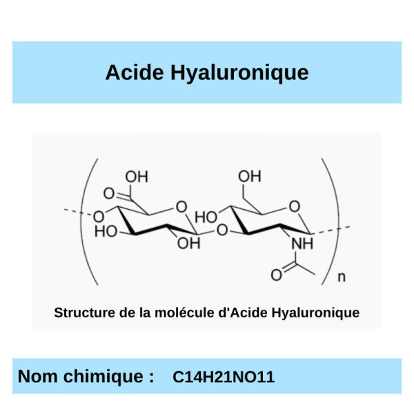 A comme Acide Hyaluronique