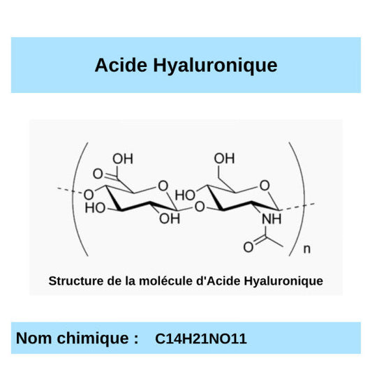 A comme Acide Hyaluronique