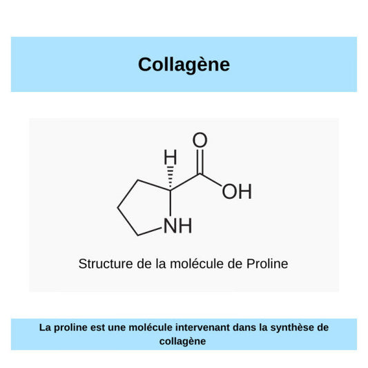 C comme Collagène