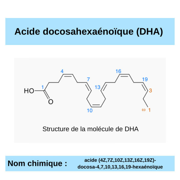 D comme DHA